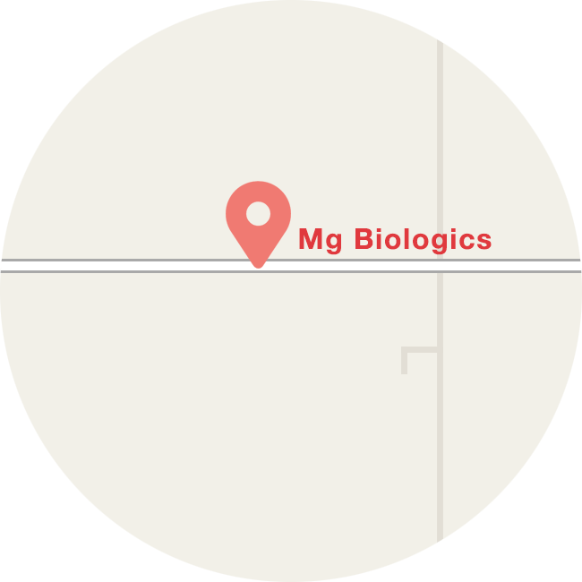 mg-map